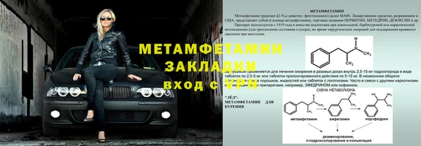 шишки Мегион