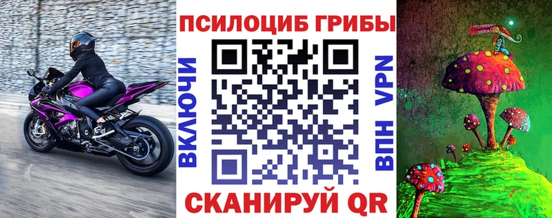 Псилоцибиновые грибы Cubensis  Купить где  Богородицк 